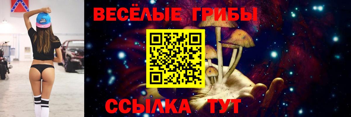 Псилоцибиновые грибы Magic Shrooms Сафоново