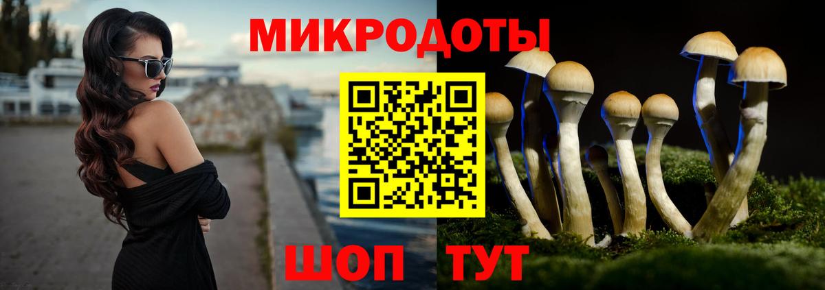 Галлюциногенные грибы прущие грибы  Вход с VPN  Сафоново  Псилоцибиновые грибы GOLDEN TEACHER 